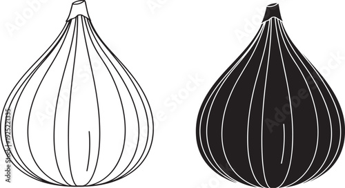 Vector silhouette and outline set of a fresh fig fruit for healthy food branding organic product design and botanical nature illustration, cad drawing flat vector illustration