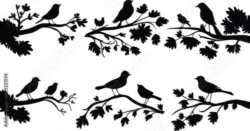 Birds on branches silhouette vector set, perched songbirds with leaves isolated for woodland design, nature illustration, spring decor and decorative graphics