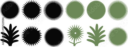 Abstract botanical silhouette set with spiky sunburst circles and leafy shapes in black and green, modern vector elements for floral design, logos, patterns.