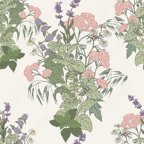 Seamless pattern, hand drawn sleep tea herbs
