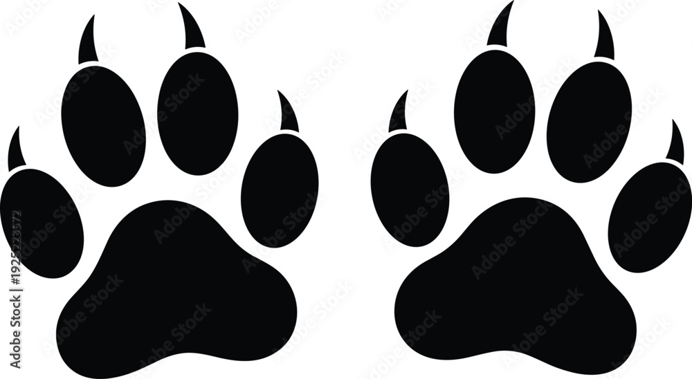 Fototapeta premium Animal, paw, print, silhouette, tiger, lion, bear, cat, dog, wildlife, track, footprint, claw, predator, hunting, vector, illustration, graphic, flavector, art