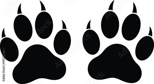 Animal, paw, print, silhouette, tiger, lion, bear, cat, dog, wildlife, track, footprint, claw, predator, hunting, vector, illustration, graphic, flavector, art