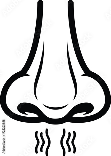 Vector of a human nose with two nostrils showing a sense of smell