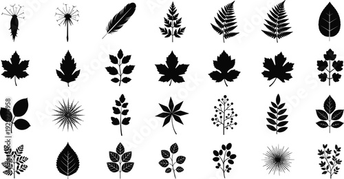 Black botanical leaf silhouettes collection with various forest plants foliage shapes isolated vector illustration set on white background