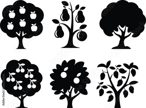 Fruit Tree Silhouette Set with Apple Pear Cherry and Mango Trees Black Vector Illustration Collection for Orchard Farming Organic Food and Garden Design