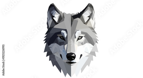 Wolf Face Closeup Grey Fur.