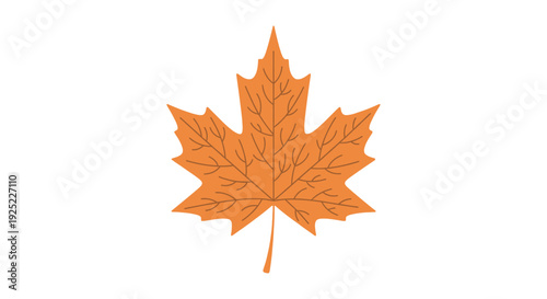 Close up of orange maple leaf.