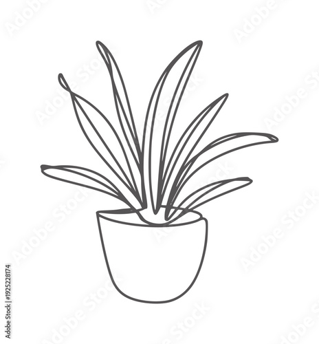 Black and white line of a potted plant with long leaves