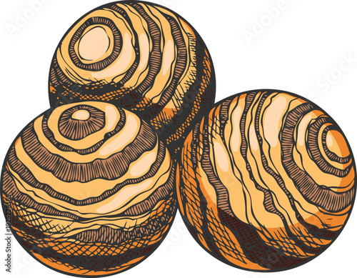 Sandalwood tree products vector sketch, hand drawn fragrant wooden balls, organic herb perfumery cosmetics isolated