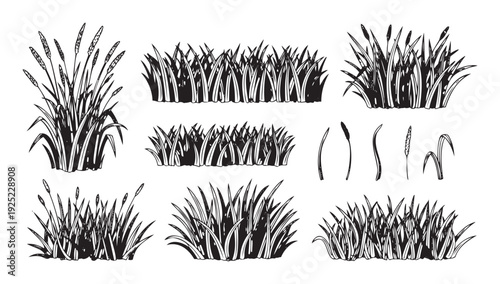 Monochrome hand drawn botanical set featuring various wild grass elements and meadow plant clusters perfect for nature themed graphic compositions and organic farm designs