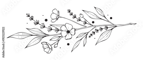 Elegant botanical line art drawing of a flowering branch with leaves and buds, perfect for minimalist designs, stationery, wedding invitations, or decorative graphics.