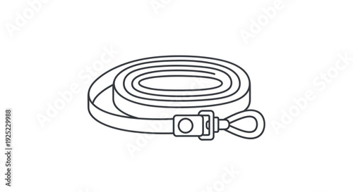 Coiled dog leash with clip and handle on white background for pet walking