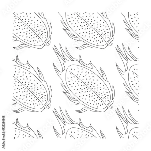 Black and white line pattern of halved dragon fruit dragonfruit