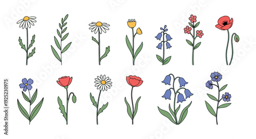 Colorful handdrawn wildflowers collection perfect for spring and summer botanical themes, natureinspired product packaging, or refreshing garden event invitations.
