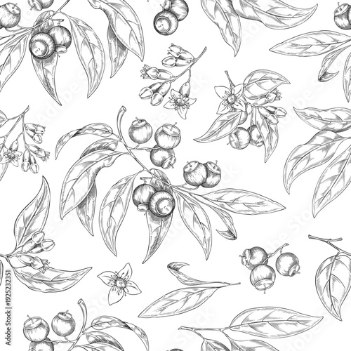 Monochrome wallpaper with sandalwood branches, leaves, flowers, and berries, hand-drawn.