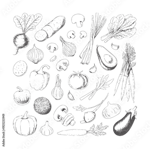 Ink of assorted fresh vegetables and produce beet onion mushroom leek spinach