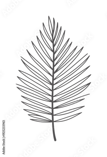 Minimalist black and white line of a palm frond leaf plant nature