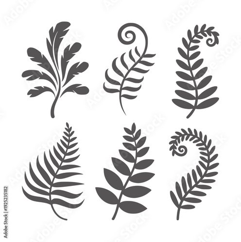 Six dark grey fern frond silhouettes white leaf plant nature