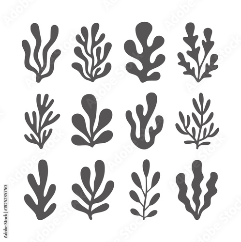 Twelve dark grey abstract organic shapes resembling seaweed or coral