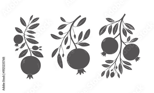 Three stylized dark gray pomegranate branches with leaves and fruits white leaf