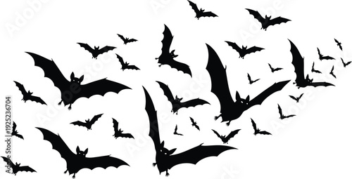 A flock of bats flying in the night sky
