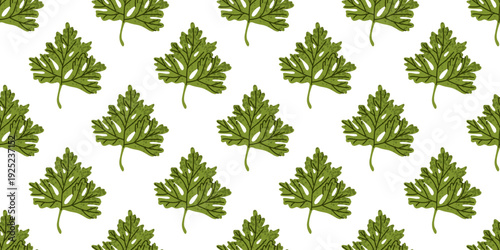 Parsley Leaf Seamless Herb Pattern