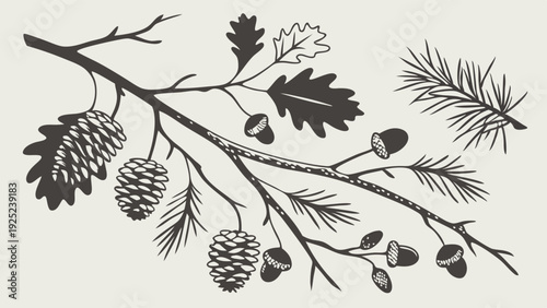 Rustic Oak Branch with Acorns Pinecones Evergreen Needles Vintage Engraving Style Forest Elements for Autumn Harvest Design Projects