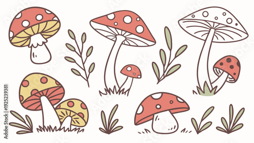 Whimsical Woodland Mushroom Illustrations Perfect For Autumn Fall Decor Invitations Packaging Design