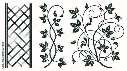 Elegant Black Ivy Vine Scrollwork and Trellis Vector Set for Garden Design Fence Decor