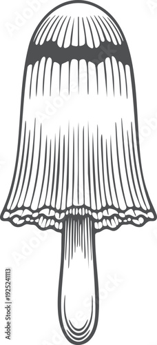 Bell Shaped Mushroom Line Art Illustration