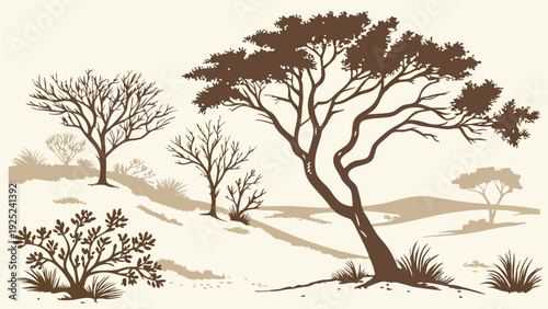 Savanna Landscape Illustration Dry Acacia Trees and Shrubs for Travel Brochures and Eco-Tourism Web Design Projects
