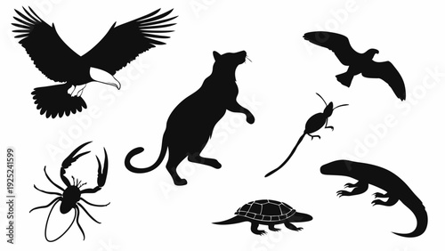 Diverse Wildlife Silhouettes Vector Set for Ecology Education Nature Design Projects and Animal Iconography