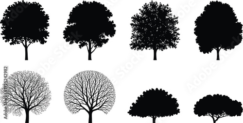 Detailed tree and bush silhouettes set, deciduous foliage shapes, seasonal forest trees, black botanical landscape elements