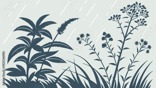 Silhouetted Wildflowers and Grass Under Gentle Summer Rain for Nature Backgrounds Web Design Seasonal Graphics
