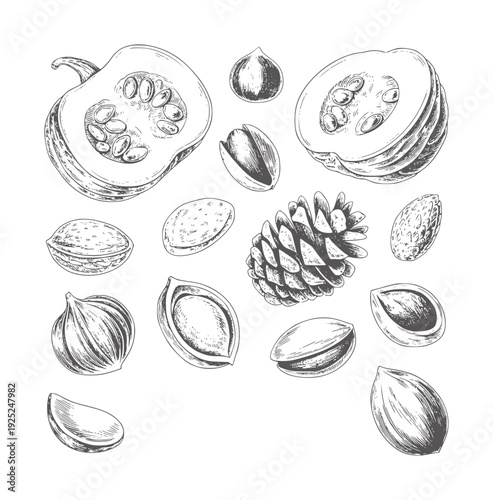Black and white hand drawn of assorted nuts seeds and pumpkin slices