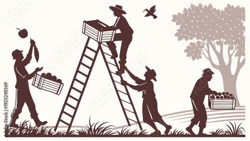 Seasonal Orchard Harvest Workers Picking Ripe Apples Using Ladders for Agricultural Food Production and Farming Websites