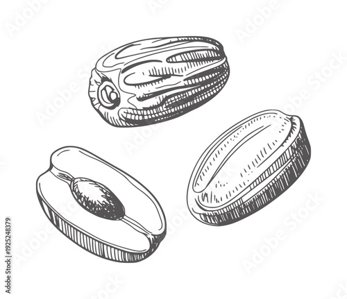 Black and white hand drawn of three dates one halved fruit food