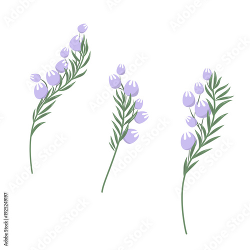 Lily of the valley   isolated on white background. Spring flowers.Simple flat style