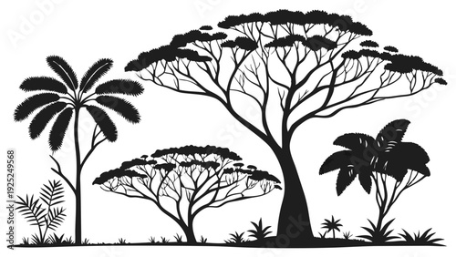 Diverse Tropical Safari Trees Silhouette for Nature Travel Website Design Jungle Landscape Background Illustration