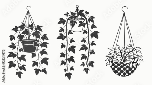 Three Black and White Hanging Potted Plants Illustration for Home Decor Web Design Garden Blog Graphics
