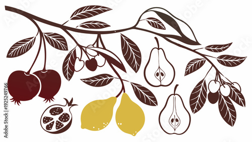 Orchard Harvest Fruit Branch Design for Packaging Branding Menu Web Graphics Seasonal Autumn Harvest Decor