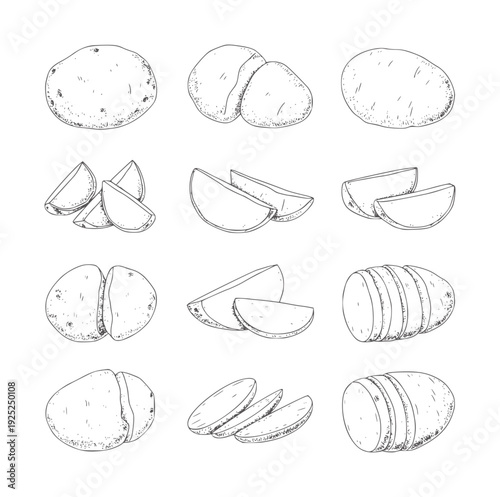 Black and white line of whole and cut potatoes sliced