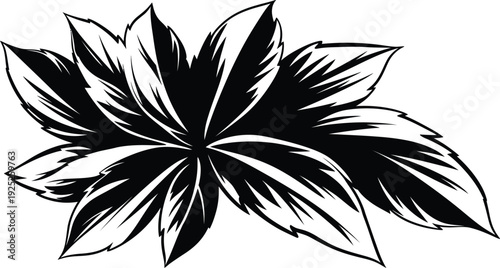 Abstract black floral design with sharply defined edges a striking silhouette