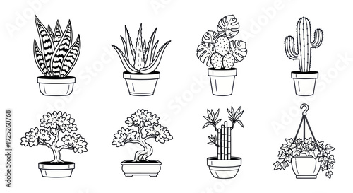 Collection of diverse potted houseplants in a minimalist line art style.