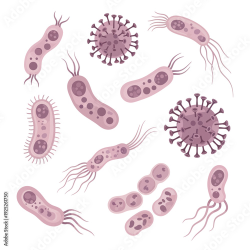 Various types of bacteria and viruses illustrated in pink and purple hues.