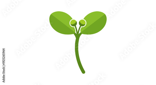 Fresh green sprout illustration, young plant seedling icon, new life and growth concept