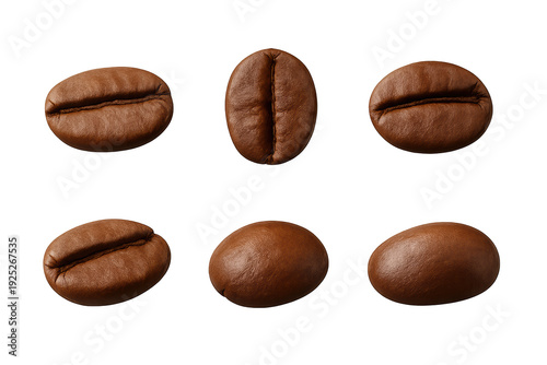 Wallpaper Mural Six roasted coffee beans arranged on a transparent background, close-up showing rich brown color and detailed textured surface Torontodigital.ca