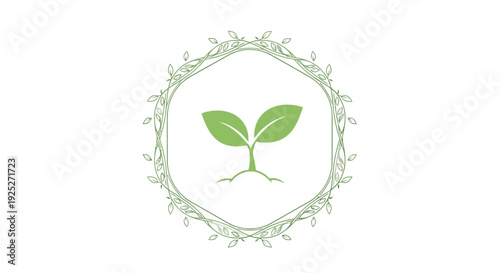 Green sprout growing from soil inside a hexagonal floral frame, symbolizing growth and nature