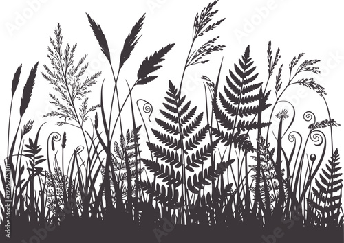 Dark silhouette of wild grasses and ferns against white black