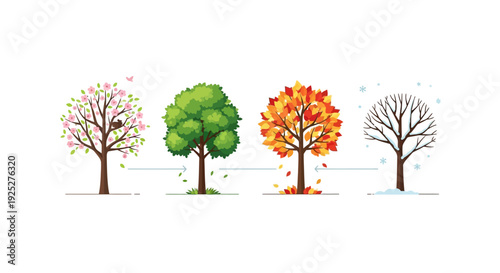 Four Seasons Tree Cycle: Spring, Summer, Autumn, Winter. Nature's Transformation.